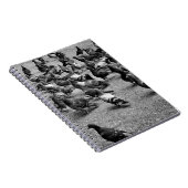 Schwarzweißfotografie vieler Tauben Notizblock (Rechte Seite)