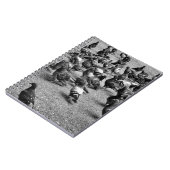 Schwarzweißfotografie vieler Tauben Notizblock (Linke Seite)