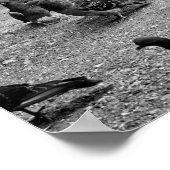Schwarzweißfotografie vieler Tauben Poster (Ecke)