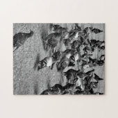 Schwarzweißfotografie vieler Tauben Puzzle (Horizontal)