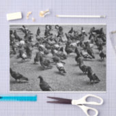 Schwarzweißfotografie vieler Tauben Seidenpapier (Handwerk)