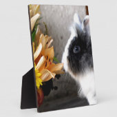 Schwarzweißhase Fotoplatte (Seite)