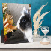 Schwarzweißhase Fotoplatte (Seite)