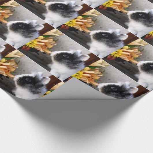 Schwarzweißhase Geschenkpapier (Ecke)