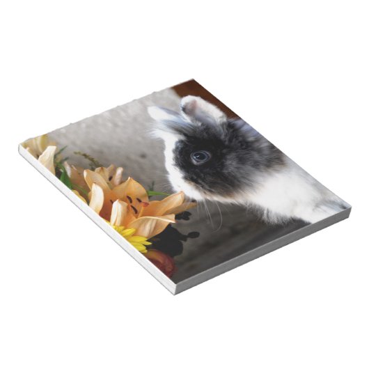 Schwarzweißhase Notizblock (angewinkelt)