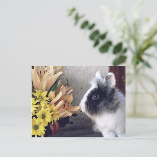 Schwarzweißhase Postkarte (Stehend Vorderseite)