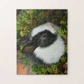 Schwarzweißholländisch Puzzle (Vertikal)