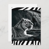 Schwarzweißiger Tiger Feiertagskarte (Vorne/Hinten)