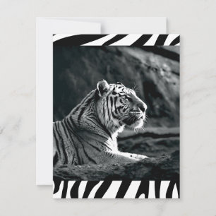 Schwarzweißiger Tiger Feiertagskarte