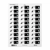 Schwarzweißkätzchen (Vorne)