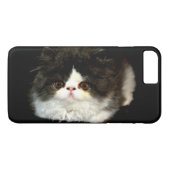 Schwarzweißkätzchen Case-Mate iPhone Hülle (Rückseite (Horizontal))