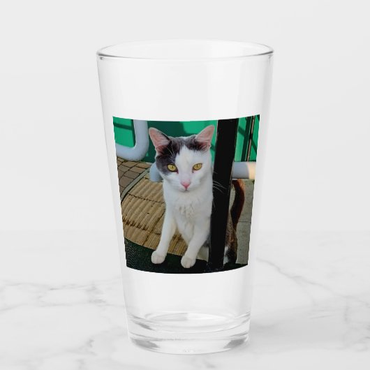 Schwarzweißkatze Glas (Vorderseite)