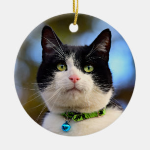 Schwarzweißkatze Keramik Ornament