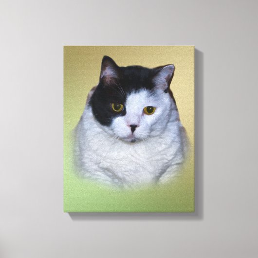 Schwarzweißkatze Leinwanddruck (Vorderseite)
