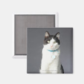 Schwarzweißkatze Magnet (Vorderseite/Rückseite)