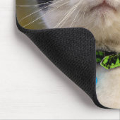 Schwarzweißkatze Mousepad (Ecke)