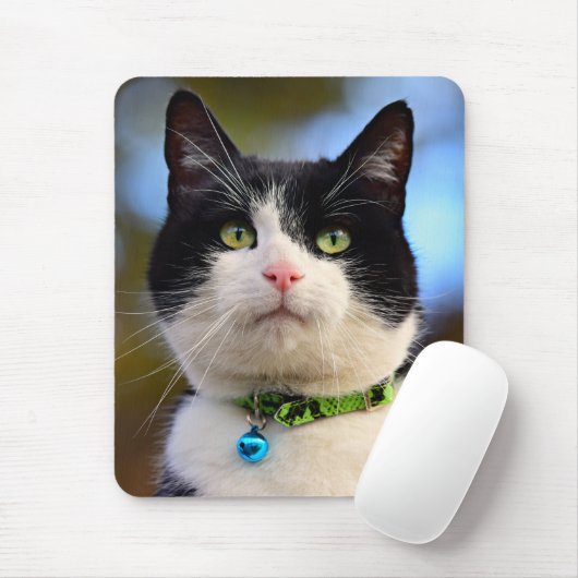 Schwarzweißkatze Mousepad (Mit Mouse)
