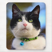 Schwarzweißkatze Mousepad (Vorne)