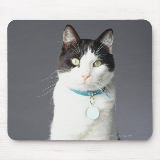 Schwarzweißkatze Mousepad (Vorne)