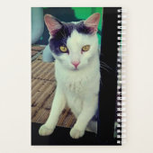 Schwarzweißkatze Planer (Rückseite)