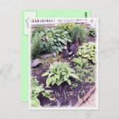 Schwarzweißkatze Postkarte (Vorne/Hinten)