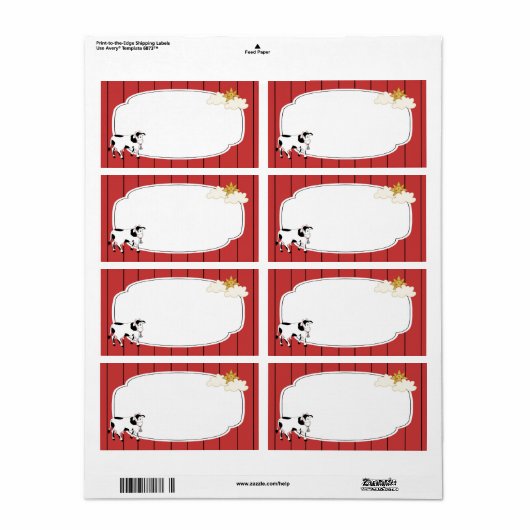 Schwarzweißkennzeichen (Vorne)