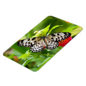 Schwarzweißmagnet Magnet (Linke Seite)