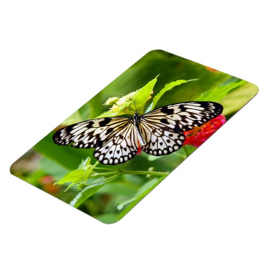 Schwarzweißmagnet Magnet (Linke Seite)