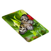 Schwarzweißmagnet Magnet (Rechte Seite)