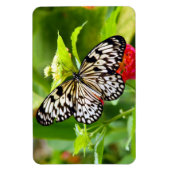 Schwarzweißmagnet Magnet (Vertikal)