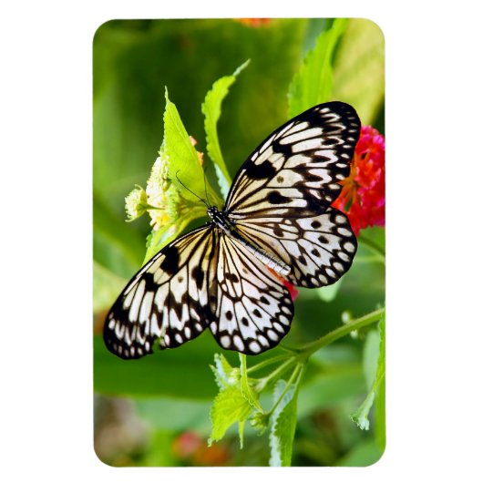 Schwarzweißmagnet Magnet (Vertikal)