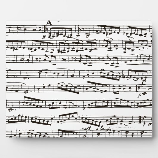 Schwarzweißmusik Fotoplatte (Vorderseite)