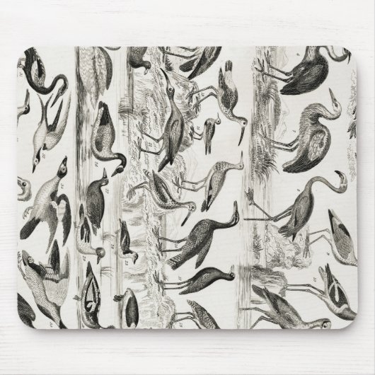 Schwarzweißornithologie-Vogelsammlung Mousepad (Vorne)