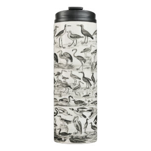 Schwarzweißornithologie-Vogelsammlung Thermosbecher