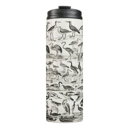 Schwarzweißornithologie-Vogelsammlung Thermosbecher (Vorderseite)