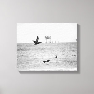 Schwarzweißpelikane über dem Ozean 11x14 Leinwanddruck