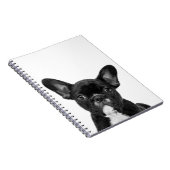 Schwarzweißportrait Notizblock (Rechte Seite)