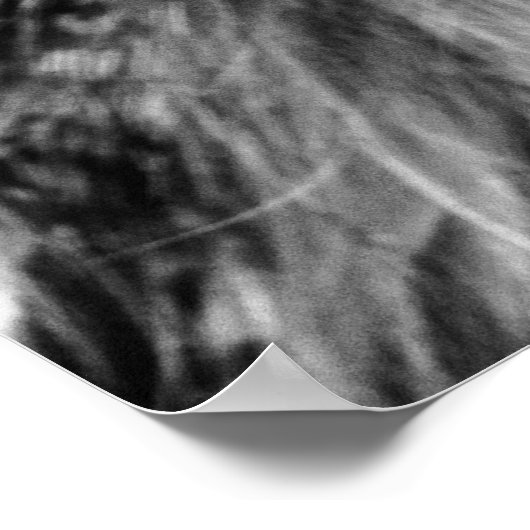 Schwarzweißportrait Poster (Ecke)