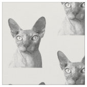 Schwarzweißportrait Stoff (Nahaufnahme)