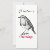 Schwarzweißrobin (Vorderseite)