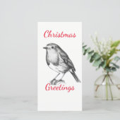 Schwarzweißrobin (Stehend Vorderseite)