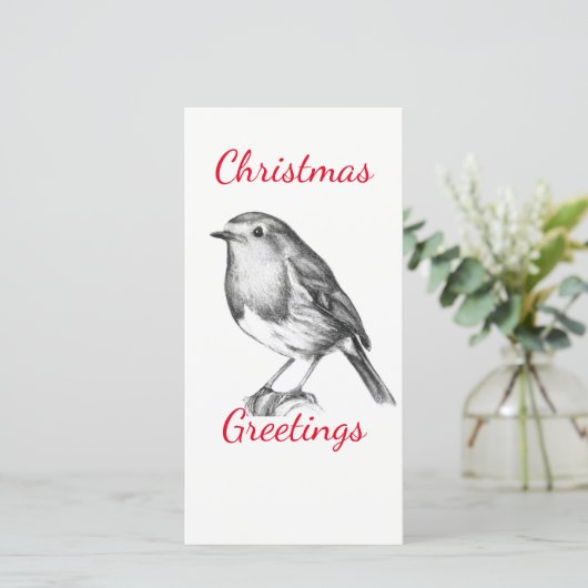 Schwarzweißrobin (Stehend Vorderseite)