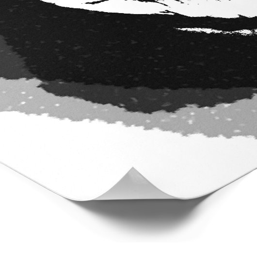 Schwarzweißrosa Poster (Ecke)