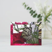 Schwarzweißschmetterling Postkarte (Stehend Vorderseite)