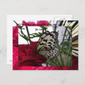 Schwarzweißschmetterling Postkarte (Vorne/Hinten)