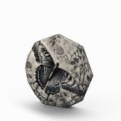 Schwarzweißschmetterling zeichnend fotoblock (Rechts)