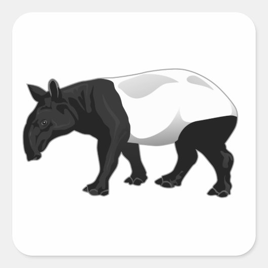 Schwarzweißtapir Quadratischer Aufkleber (Vorderseite)