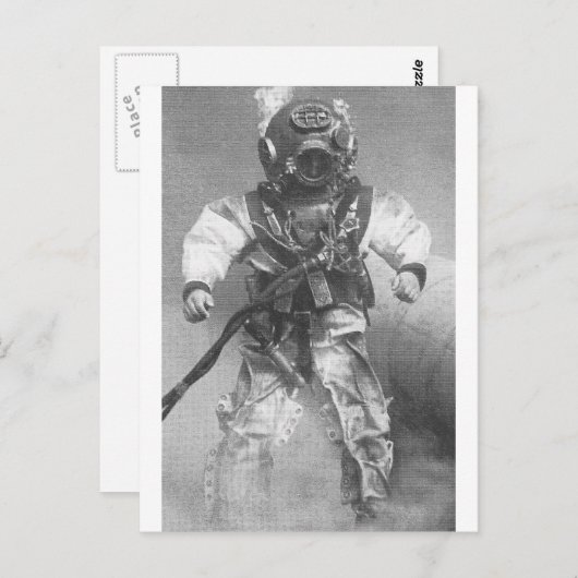 Schwarzweißtaucher Postkarte (Vorne/Hinten)