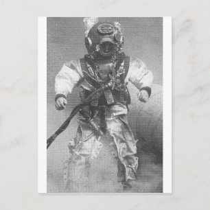 Schwarzweißtaucher Postkarte