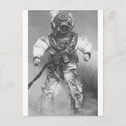 Schwarzweißtaucher Postkarte (Vorderseite)